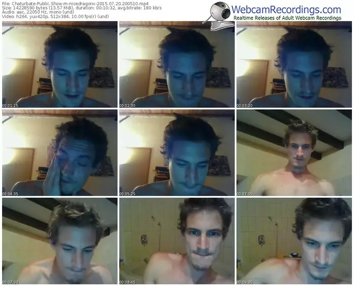 chaturbate-nicedragonx-public-show-07_20_2015-20_05_10
