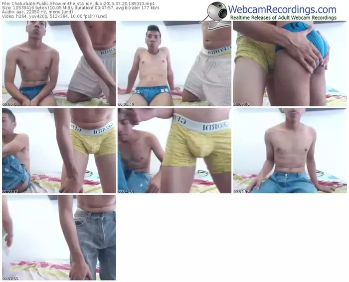 chaturbate-the_stallion_duo-public-show-07_20_2015-18_50_10