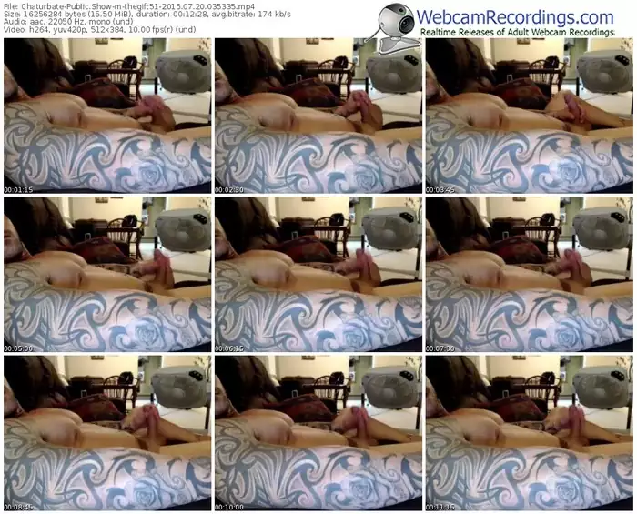 chaturbate-thegift51-public-show-07_20_2015-03_53_35