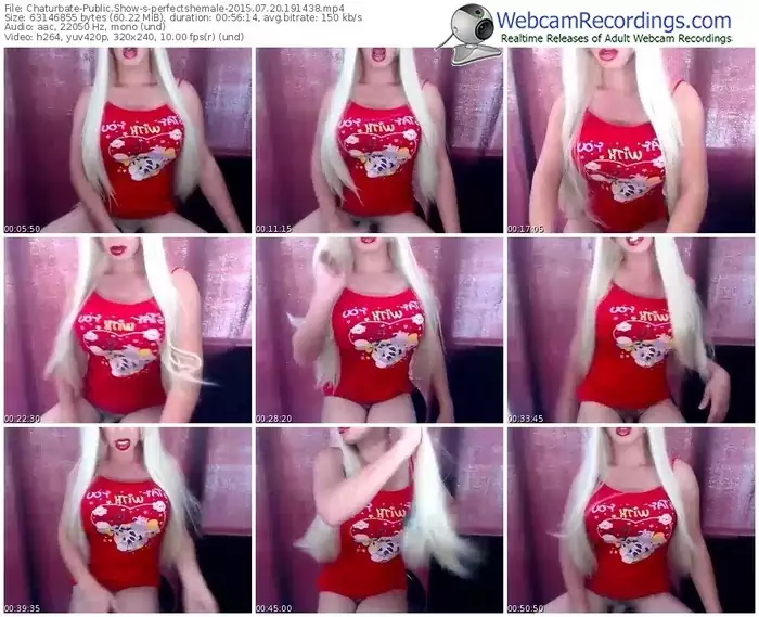 chaturbate-perfectshemale-public-show-07_20_2015-19_14_38