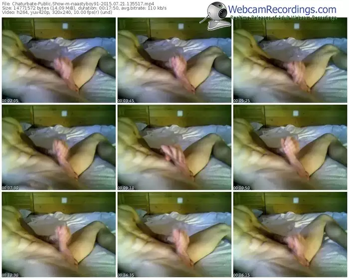 chaturbate-naastyboy91-public-show-07_21_2015-13_55_17