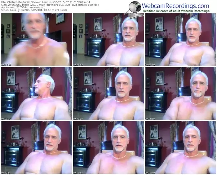 chaturbate-terminus60-public-show-07_21_2015-01_55_08