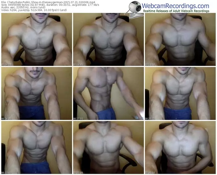 chaturbate-thesexygerman-public-show-07_21_2015-02_00_06