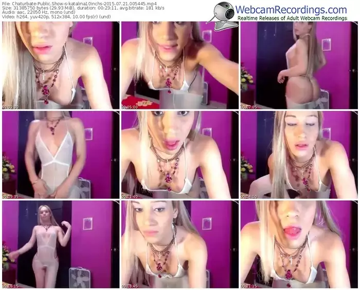 chaturbate-katalina10inchs-public-show-07_21_2015-00_54_45
