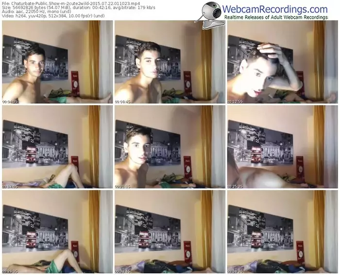 chaturbate-2cute2wild-public-show-07_22_2015-01_10_23