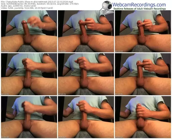 chaturbate-discreetmeat-public-show-07_22_2015-01_20_24