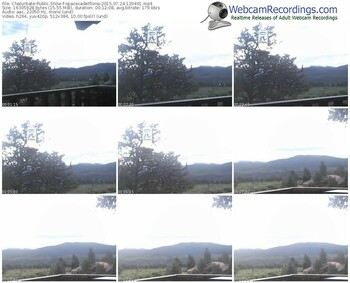 chaturbate-spacecadetfiona-public-show-07_24_2015-12_04_01
