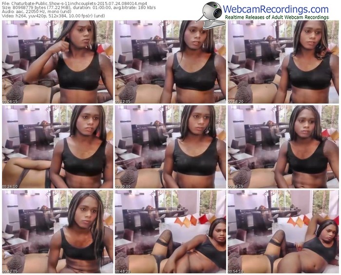 chaturbate-11inchcouplets-public-show-07_24_2015-08_40_14
