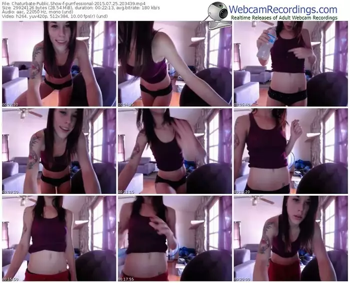 chaturbate-purrfessional-public-show-07_25_2015-20_34_39