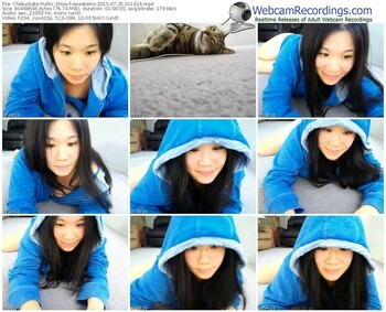 chaturbate-sweetems-public-show-07_25_2015-01_19_14