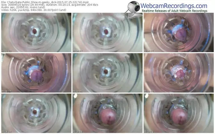 chaturbate-geeky_dick-public-show-07_25_2015-22_17_42