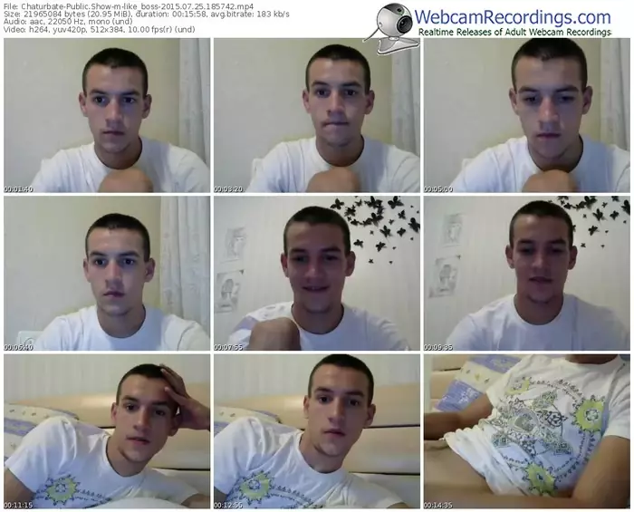 chaturbate-like_boss-public-show-07_25_2015-18_57_42