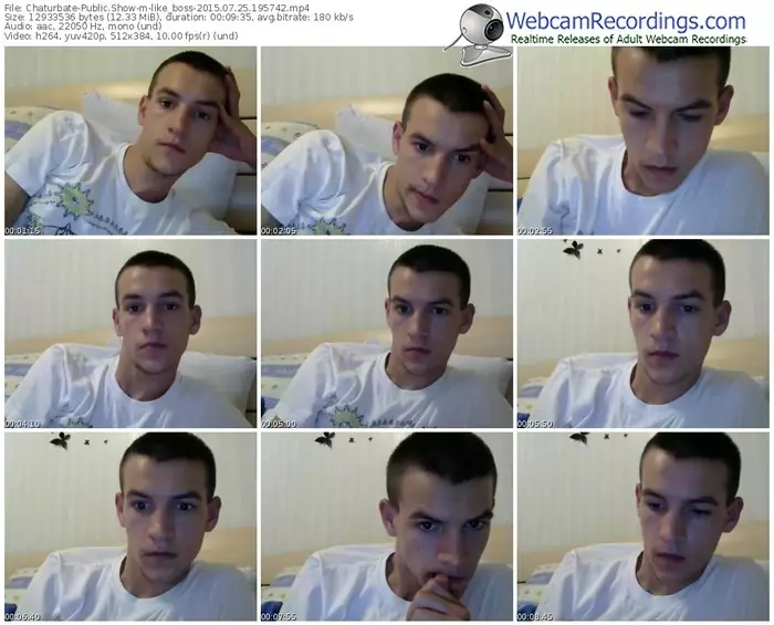 chaturbate-like_boss-public-show-07_25_2015-19_57_42