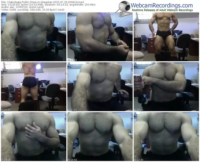 chaturbate-shagstan-public-show-07_25_2015-00_04_19