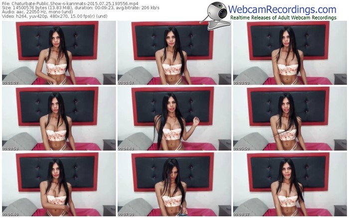 chaturbate-karinnats-public-show-07_25_2015-19_35_56