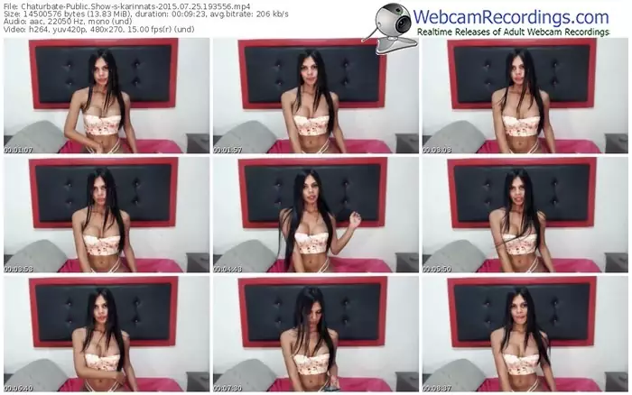 chaturbate-karinnats-public-show-07_25_2015-19_35_56