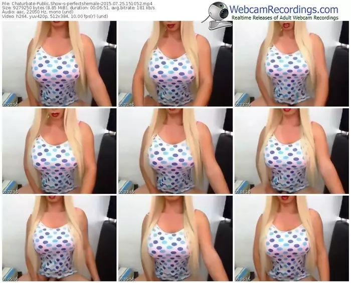 chaturbate-perfectshemale-public-show-07_25_2015-15_10_52
