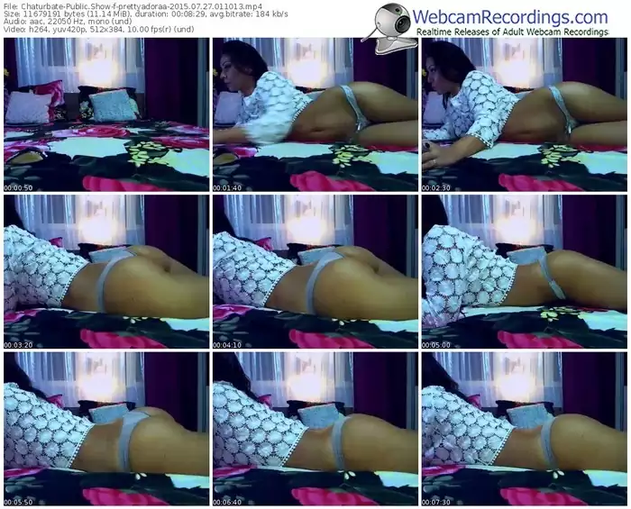 chaturbate-prettyadoraa-public-show-07_27_2015-01_10_13