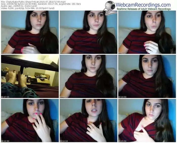 chaturbate-r6cat-public-show-07_28_2015-07_17_40