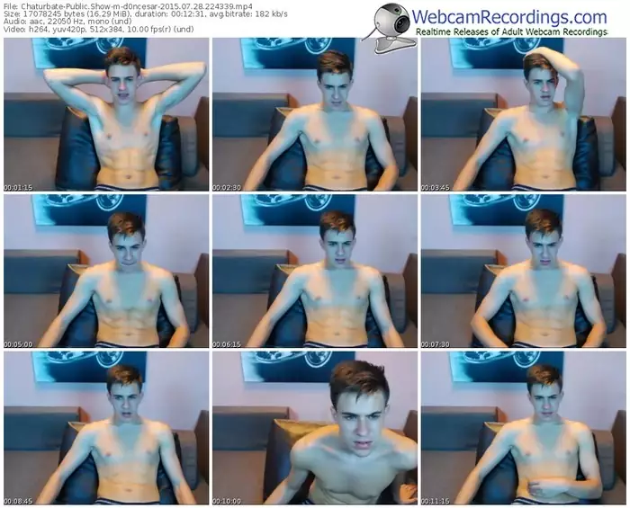 chaturbate-d0ncesar-public-show-07_28_2015-22_43_39