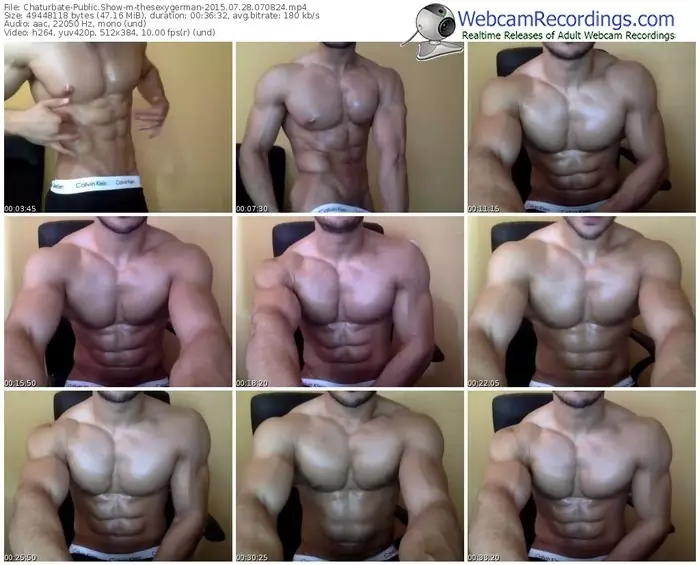 chaturbate-thesexygerman-public-show-07_28_2015-07_08_24