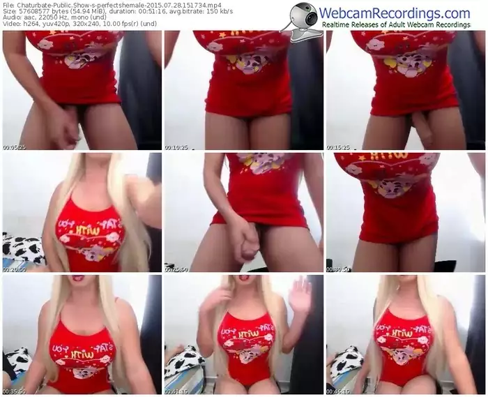 chaturbate-perfectshemale-public-show-07_28_2015-15_17_34