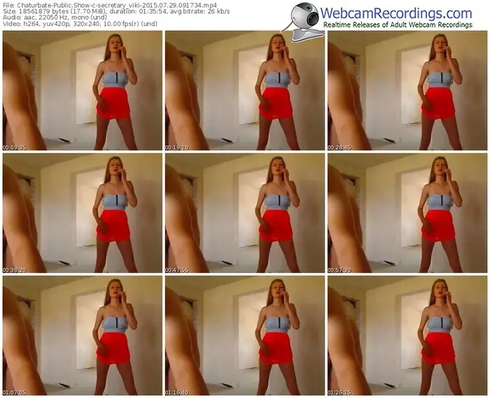 chaturbate-secretary_viki-public-show-07_29_2015-09_17_34