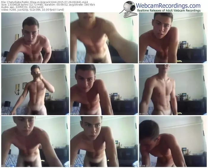 chaturbate-bigcock3244-public-show-07_29_2015-09_18_41