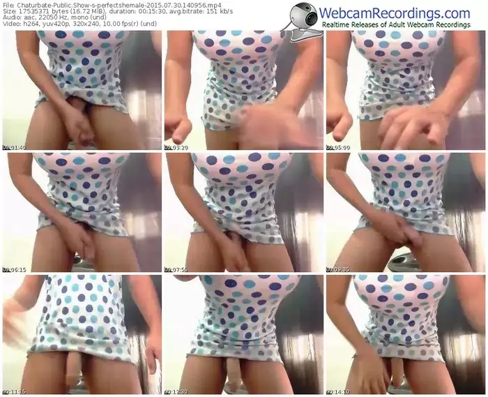 chaturbate-perfectshemale-public-show-07_30_2015-14_09_56