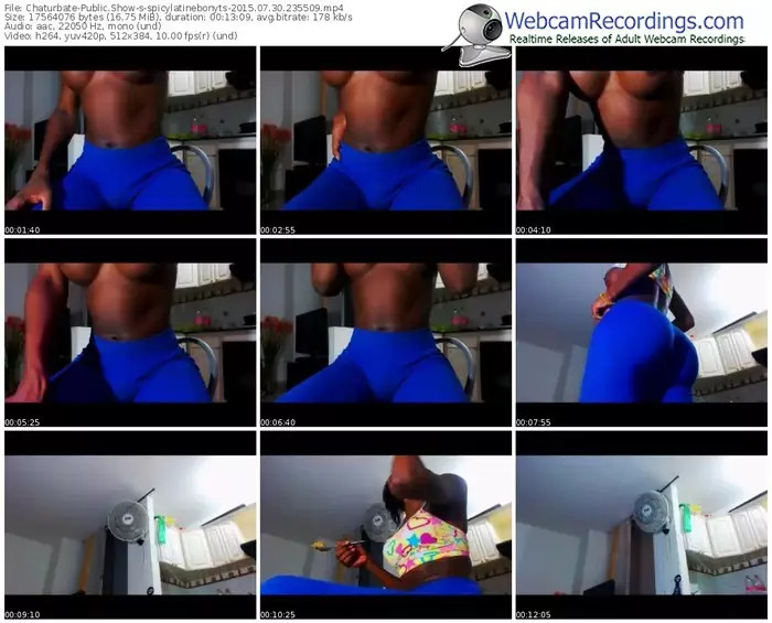 chaturbate-spicylatinebonyts-public-show-07_30_2015-23_55_09