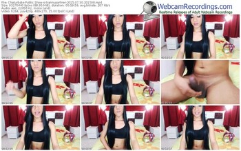 chaturbate-trannypartner-public-show-07_30_2015-20_15_08