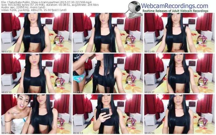 chaturbate-trannypartner-public-show-07_30_2015-22_15_08