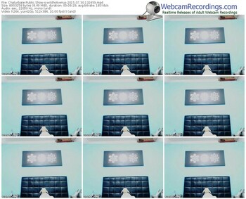 chaturbate-wildhotvenus-public-show-07_30_2015-13_24_59