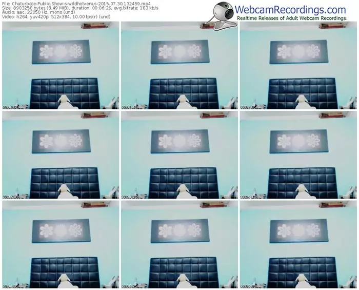 chaturbate-wildhotvenus-public-show-07_30_2015-13_24_59