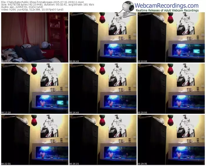 chaturbate-ninabiigass-public-show-07_31_2015-20_31_11