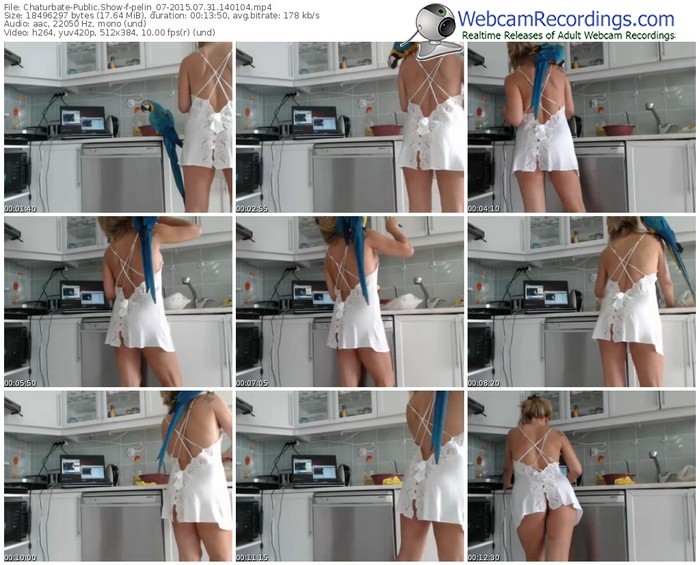 chaturbate-pelin_07-public-show-07_31_2015-14_01_04