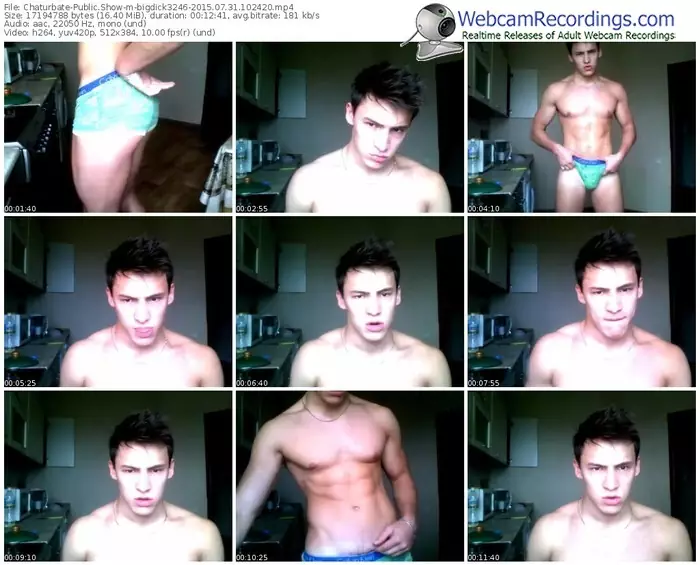 chaturbate-bigdick3246-public-show-07_31_2015-10_24_20