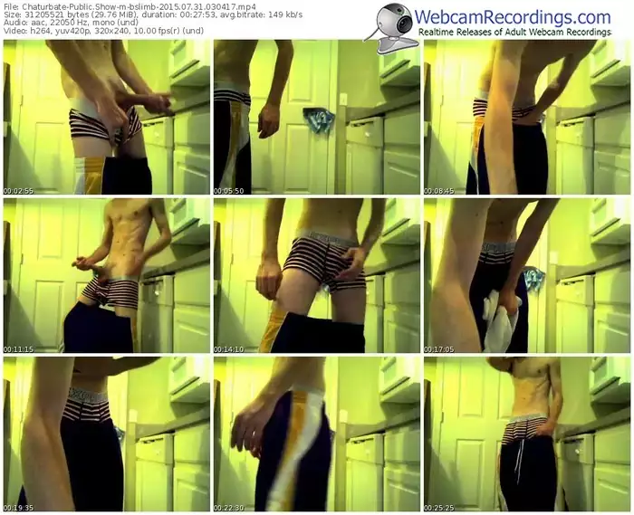 chaturbate-bslimb-public-show-07_31_2015-03_04_17