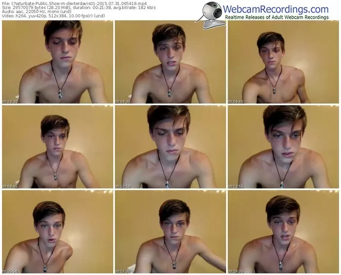 chaturbate-dexterdavis01-public-show-07_31_2015-06_54_19