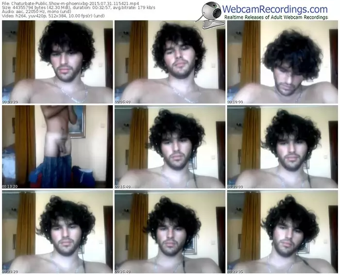 chaturbate-phoenixbg-public-show-07_31_2015-11_54_21