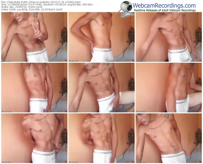 chaturbate-snaken1-public-show-07_31_2015-13_39_22
