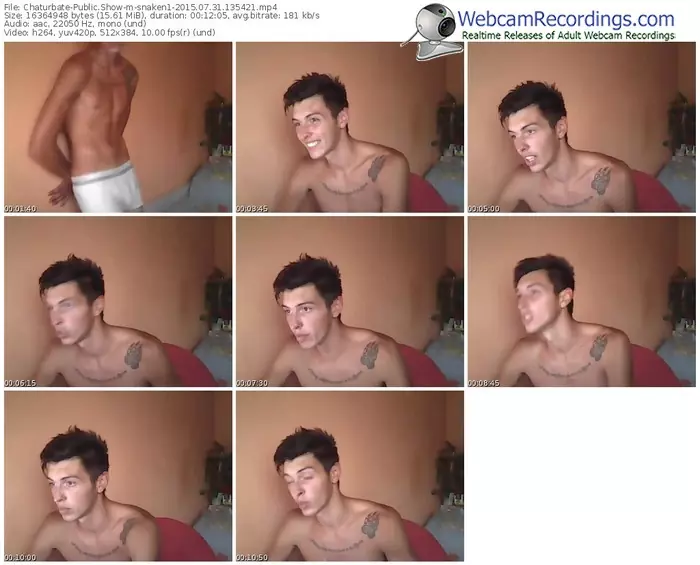 chaturbate-snaken1-public-show-07_31_2015-13_54_21