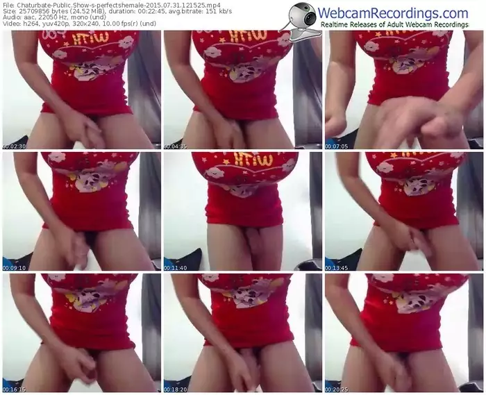 chaturbate-perfectshemale-public-show-07_31_2015-12_15_25