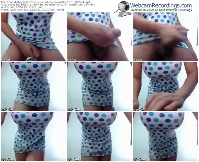 chaturbate-perfectshemale-public-show-07_31_2015-20_35_34