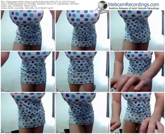 chaturbate-perfectshemale-public-show-07_31_2015-22_15_37