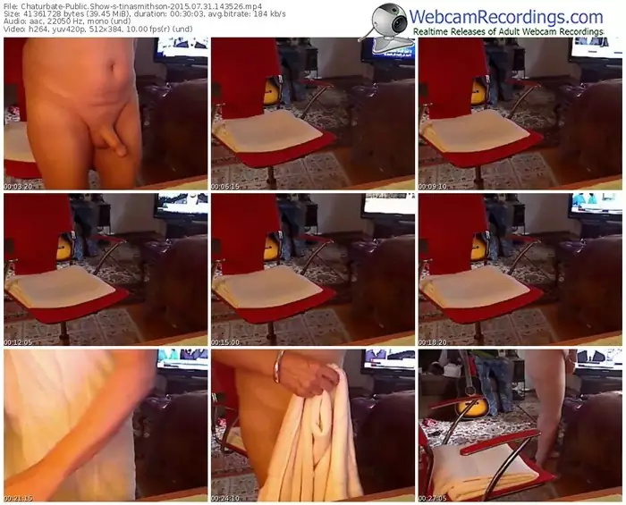 chaturbate-tinasmithson-public-show-07_31_2015-14_35_26