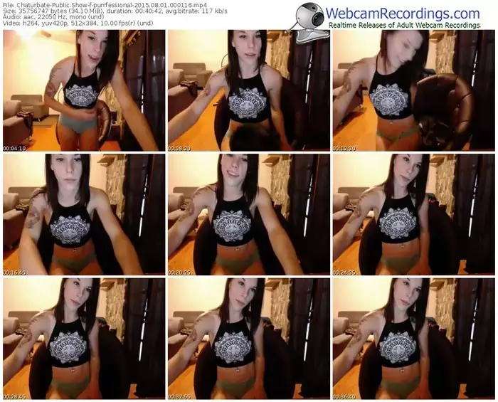 chaturbate-purrfessional-public-show-08_01_2015-00_01_16