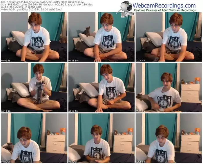 chaturbate-bosboy321-public-show-08_01_2015-04_54_27