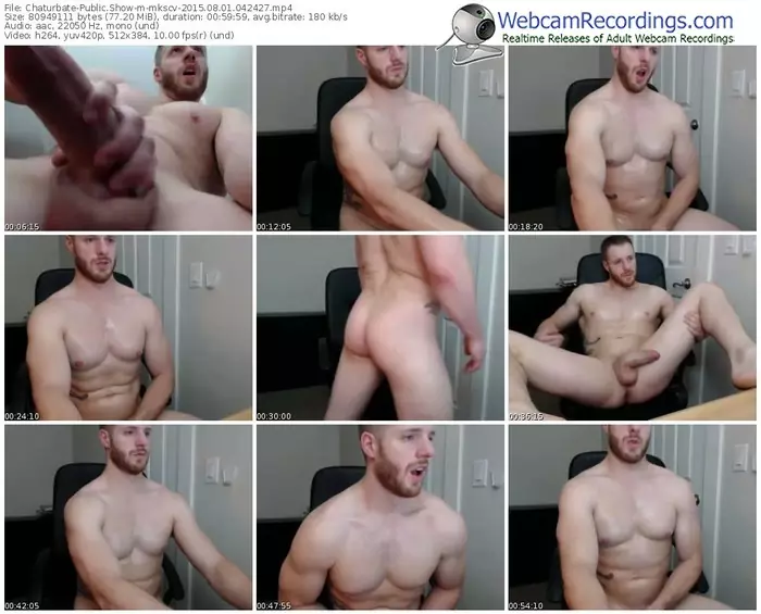 chaturbate-mkscv-public-show-08_01_2015-04_24_27