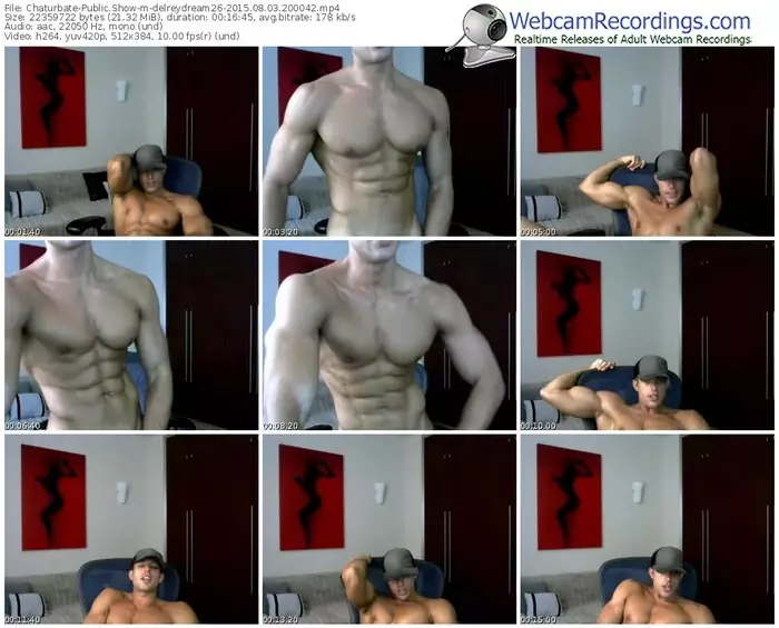 chaturbate-delreydream26-public-show-08_03_2015-20_00_42